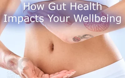 How Gut Health Impacts Your Wellbeing