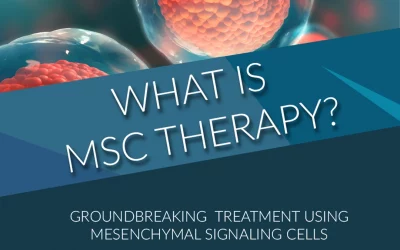 Mesenchymal Stem Cells (MSCs)