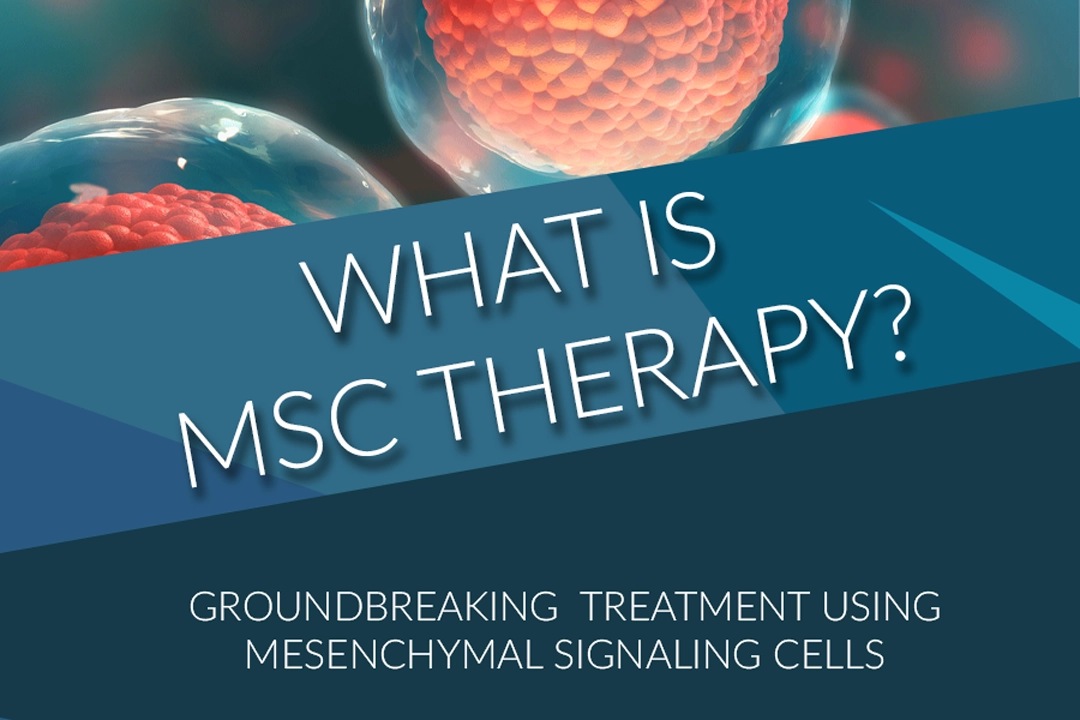 MSC Therapy  (Mesenchymal Stem Cells)
